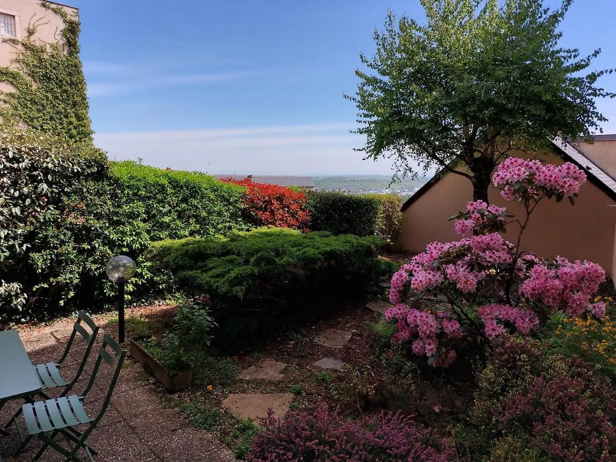 Le Denyspuech 55M2 Plein Centre Avec Jardin! Apartment Rodez 0*,  France