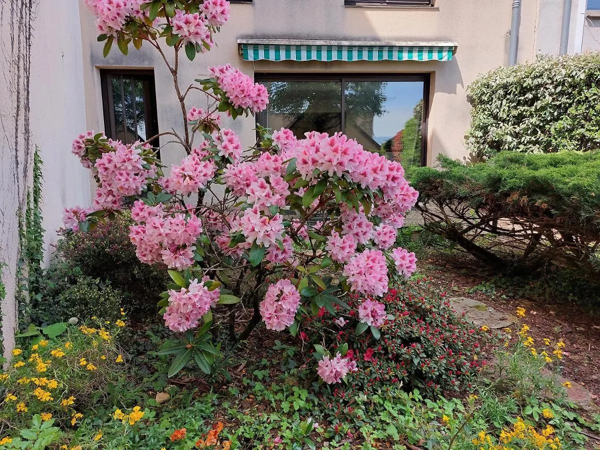 Le Denyspuech 55M2 Plein Centre Avec Jardin! Apartment Rodez